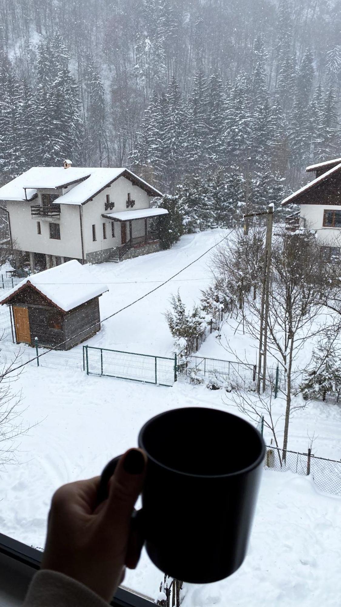 Queen'S Heart Guesthouse 브란 외부 사진